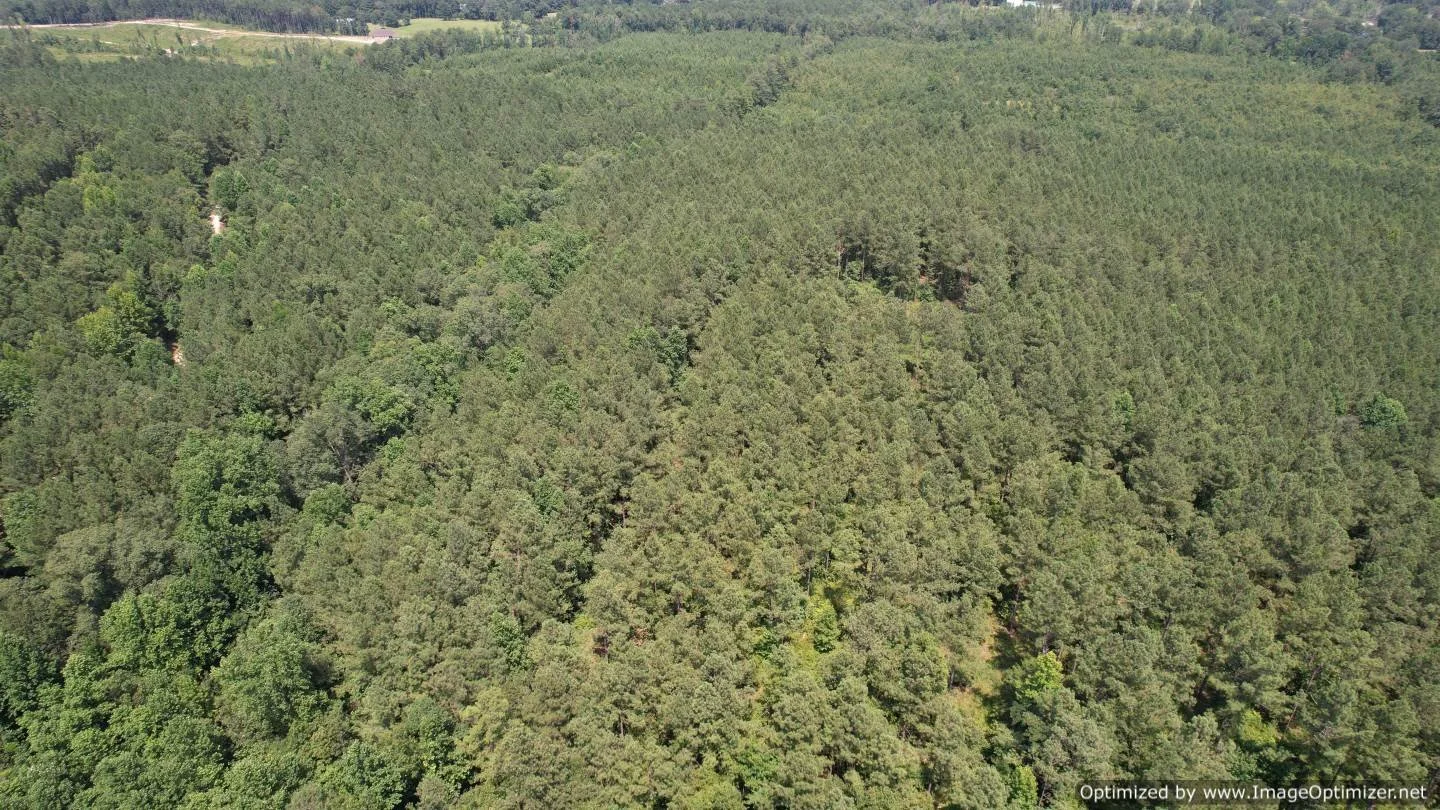 Newton County 58.5 +/ Acres Liberty Rd Little Rock, MS — Pursuit