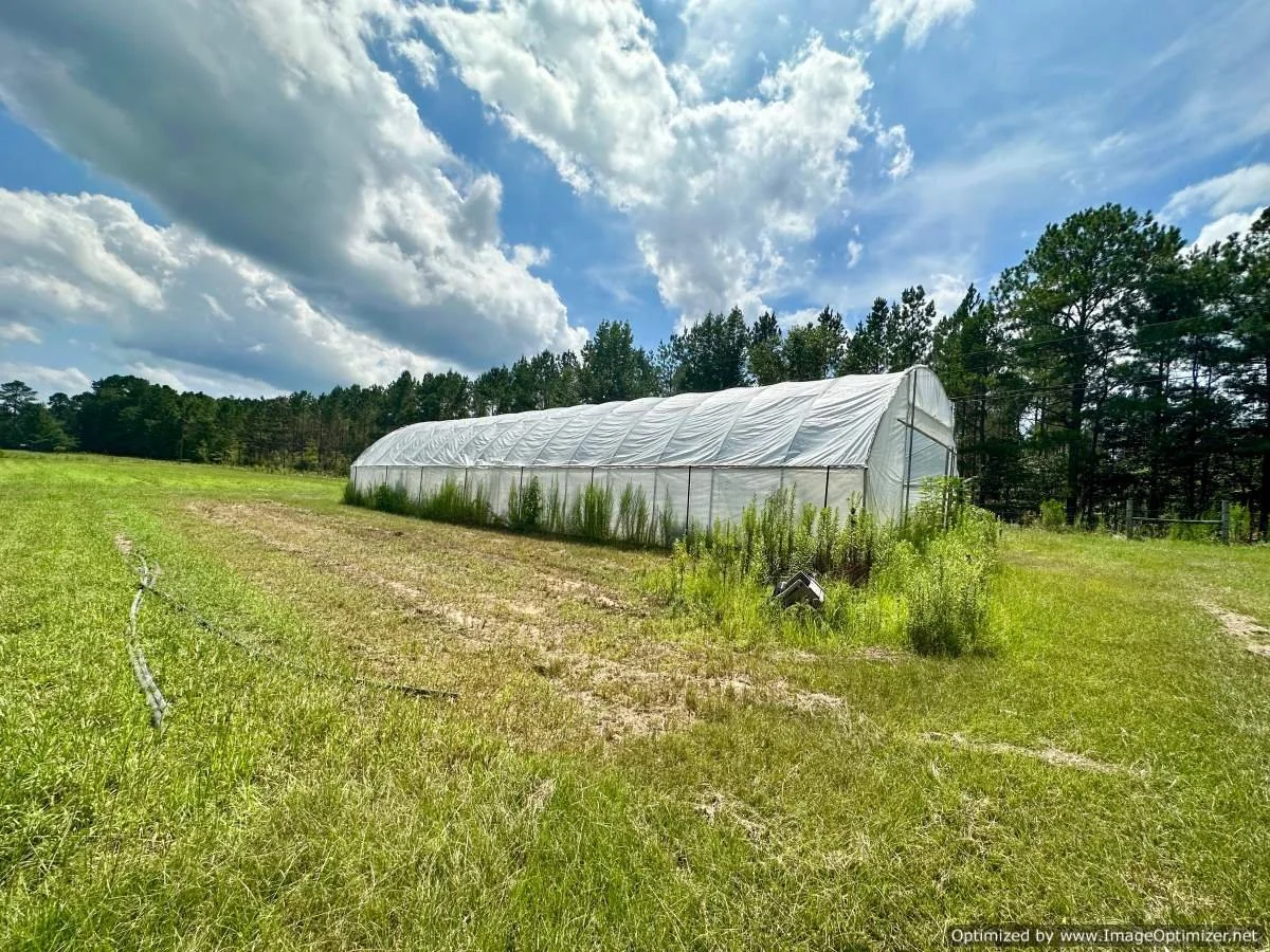 Winston County 72 Ac + home 5020 HighpointWeir Rd Louisville, MS