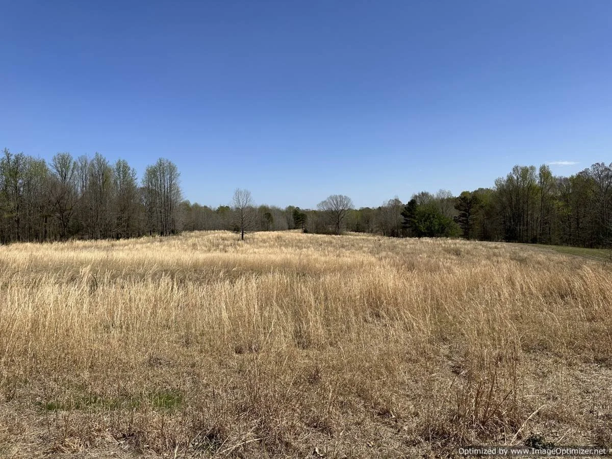 Holmes County 120 acres 5831 Hopewell Rd lexington, MS — Pursuit Properties
