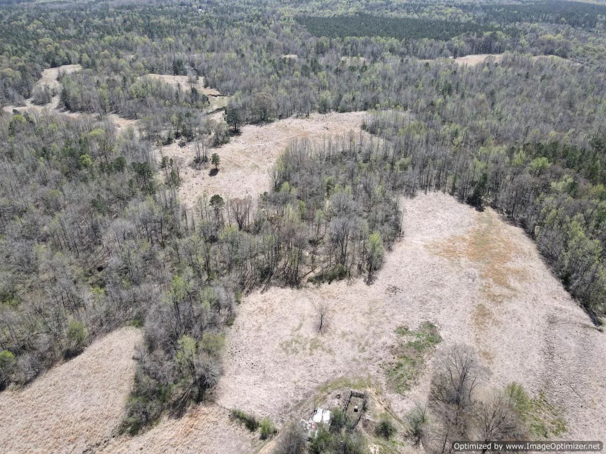 Holmes County 120 acres 5831 Hopewell Rd lexington, MS — Pursuit