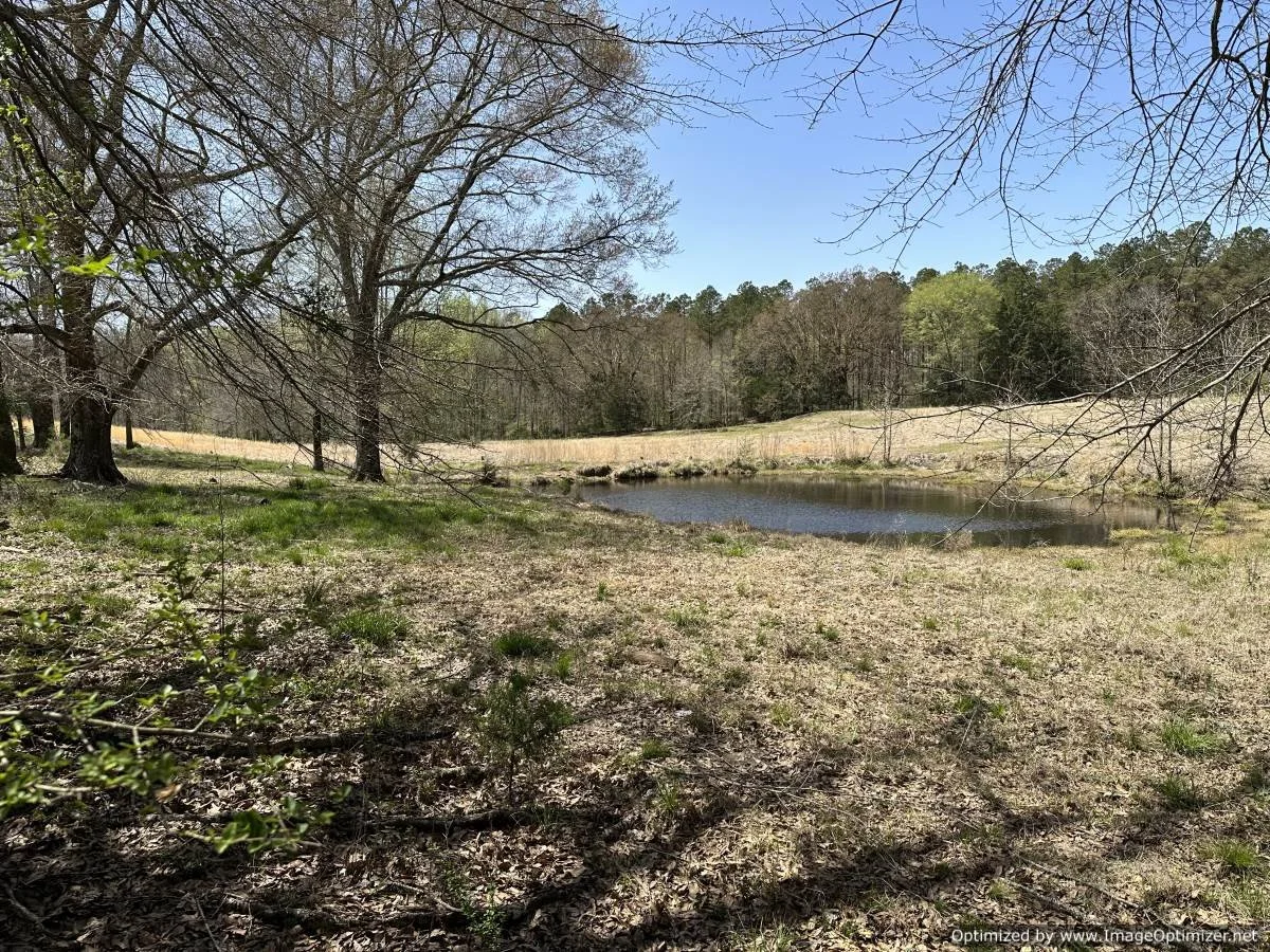 Holmes County 120 acres 5831 Hopewell Rd lexington, MS — Pursuit