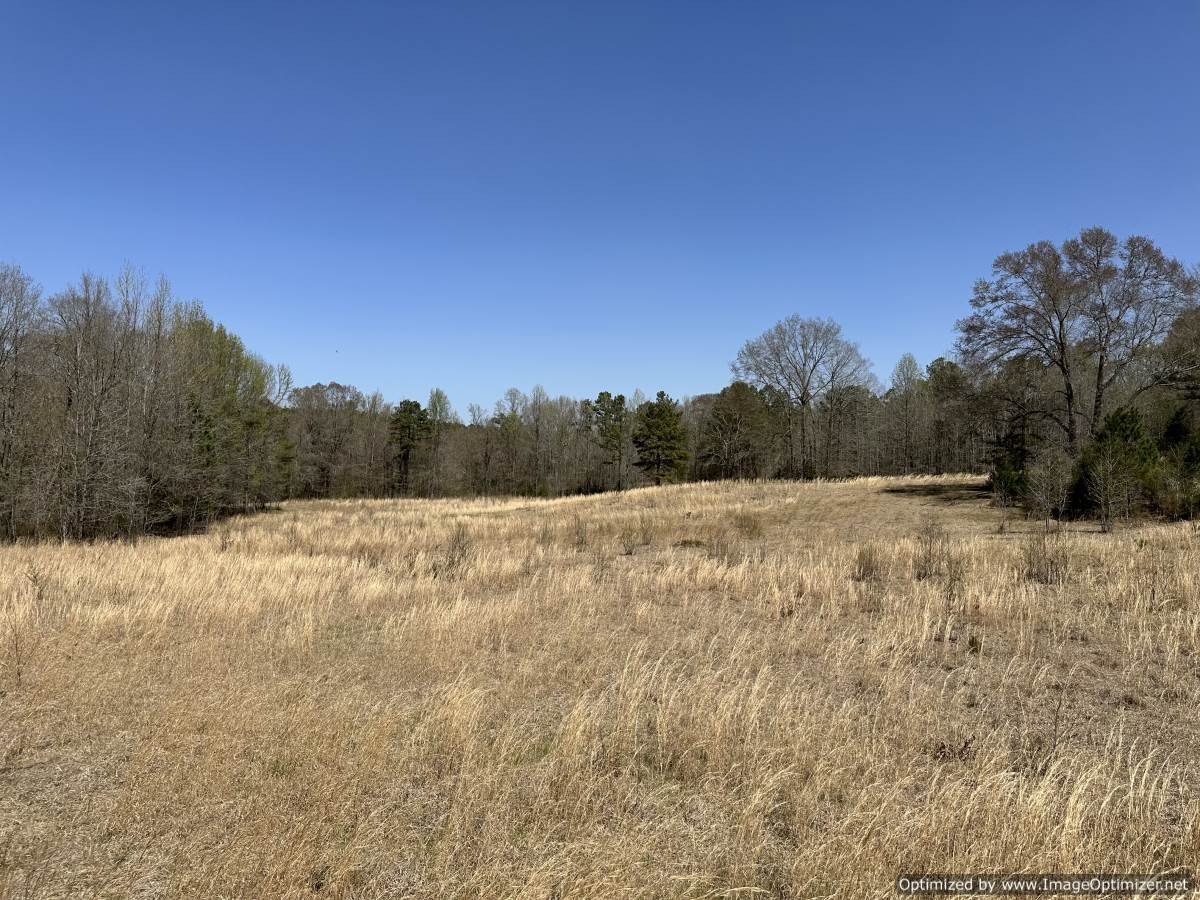 Holmes County 120 acres 5831 Hopewell Rd lexington, MS — Pursuit