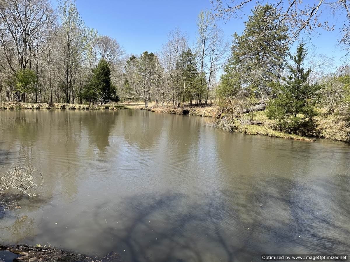 Holmes County 120 acres 5831 Hopewell Rd lexington, MS — Pursuit