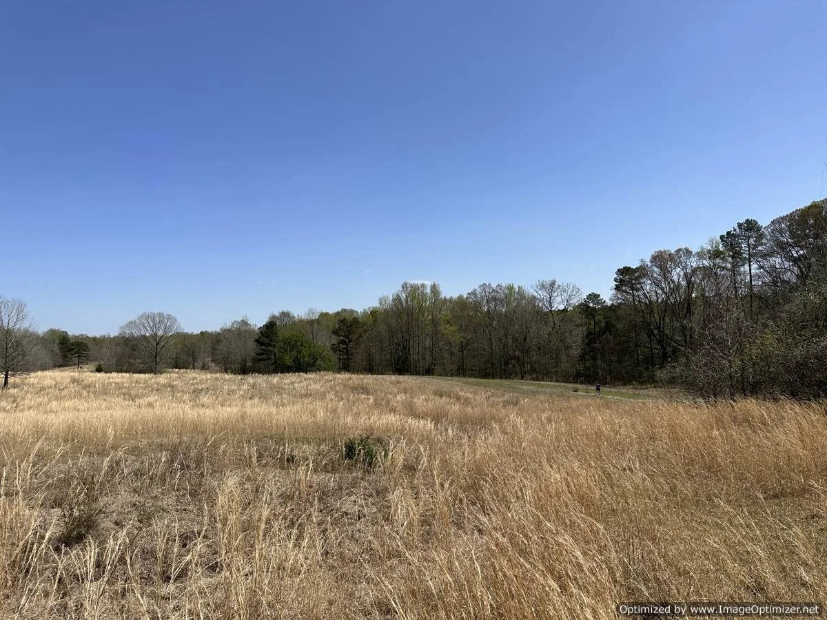 Holmes County 120 acres 5831 Hopewell Rd lexington, MS — Pursuit Properties