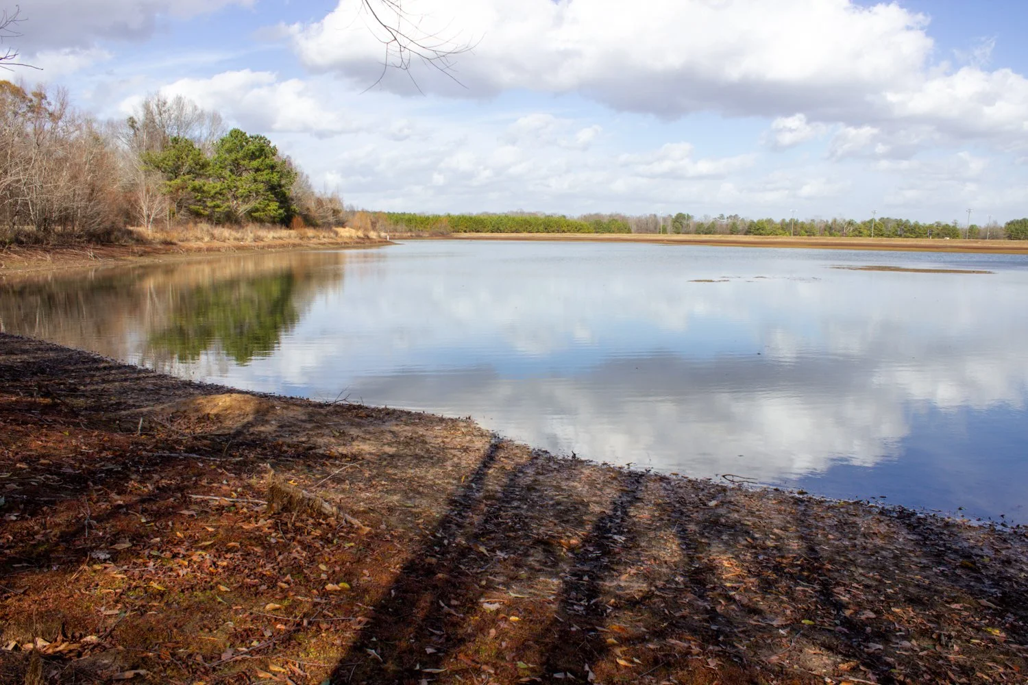 Leake County 177 Acres Hwy 487 West — Pursuit Properties