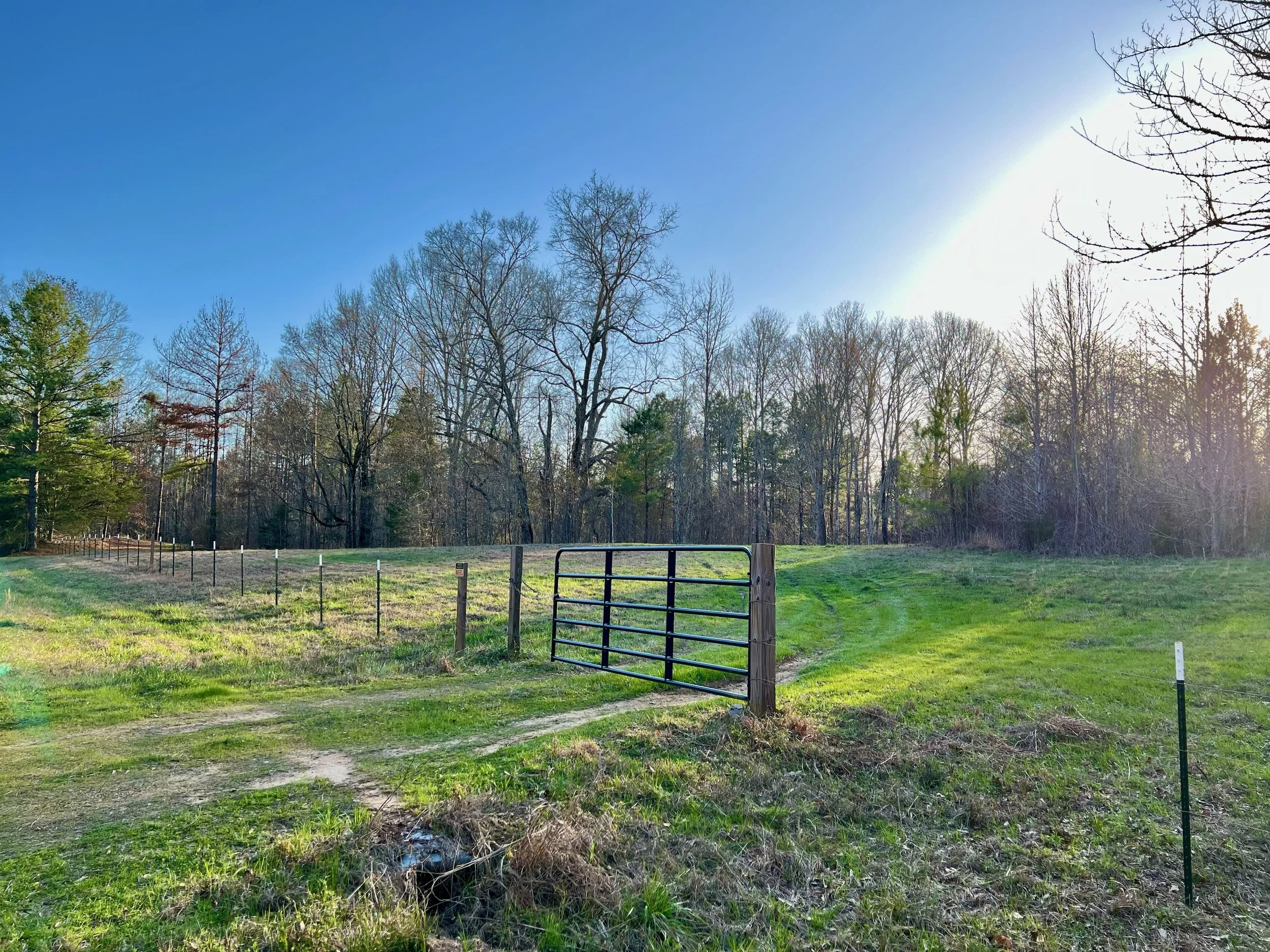 Hinds County 50 +/ acres in Utica, MS — Pursuit Properties