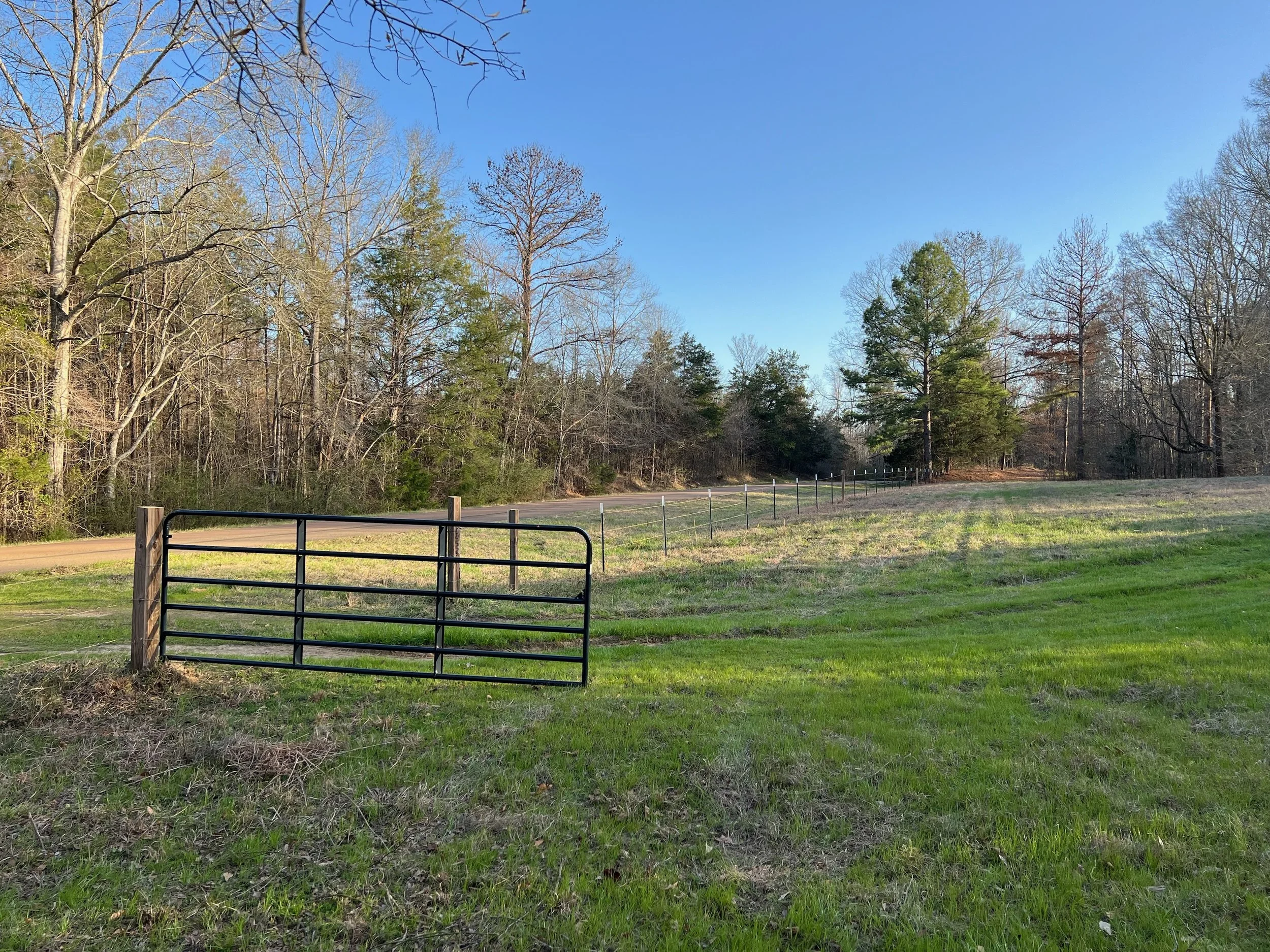Hinds County 50 +/ acres in Utica, MS — Pursuit Properties