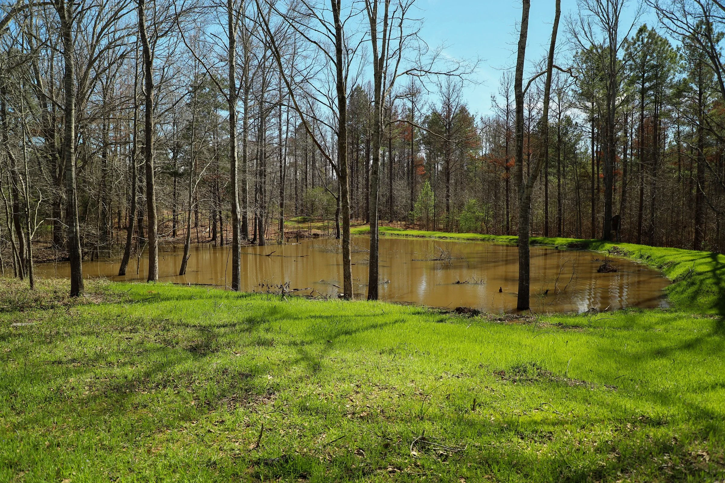 Hinds County 50 +/ acres in Utica, MS — Pursuit Properties