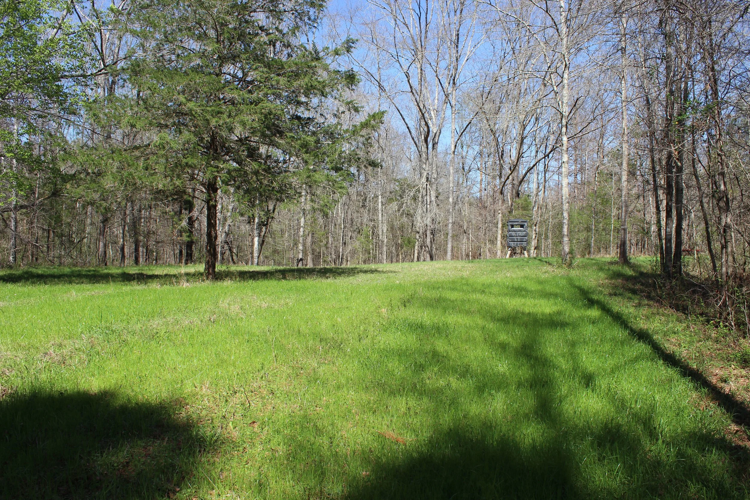 Hinds County 50 +/ acres in Utica, MS — Pursuit Properties