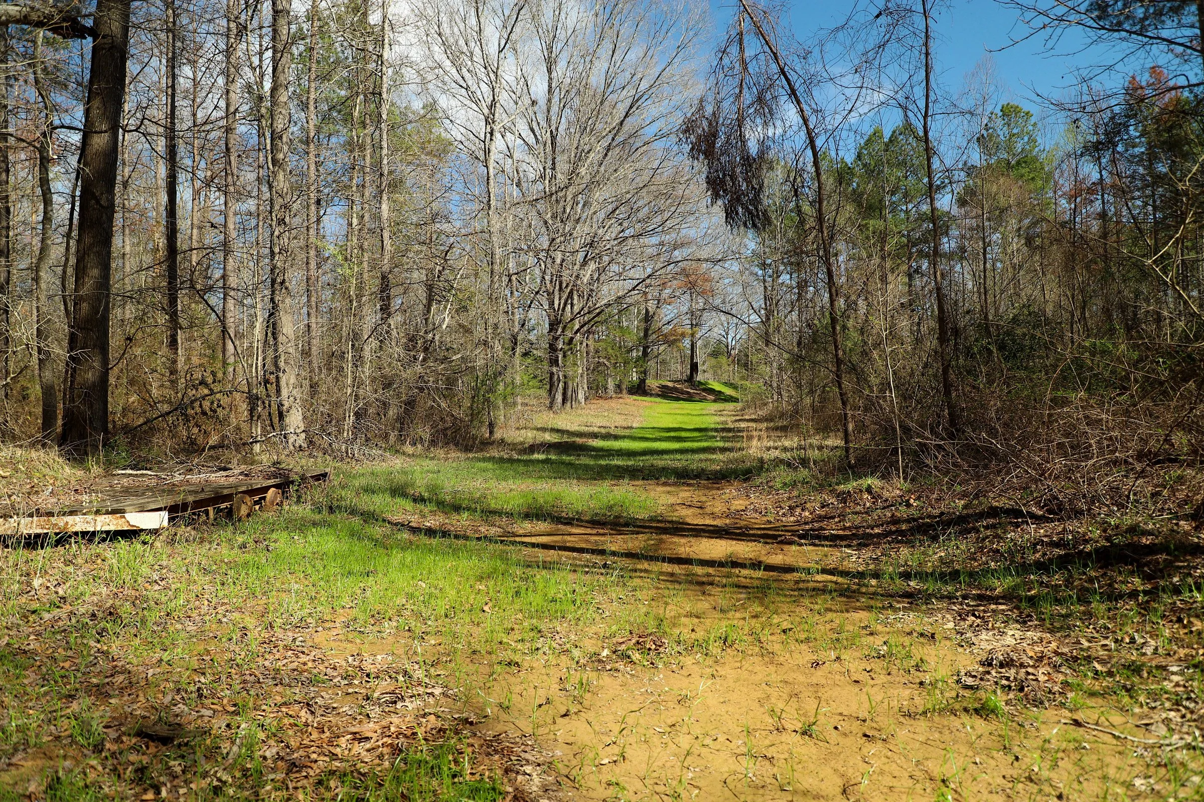 Hinds County 50 +/ acres in Utica, MS — Pursuit Properties