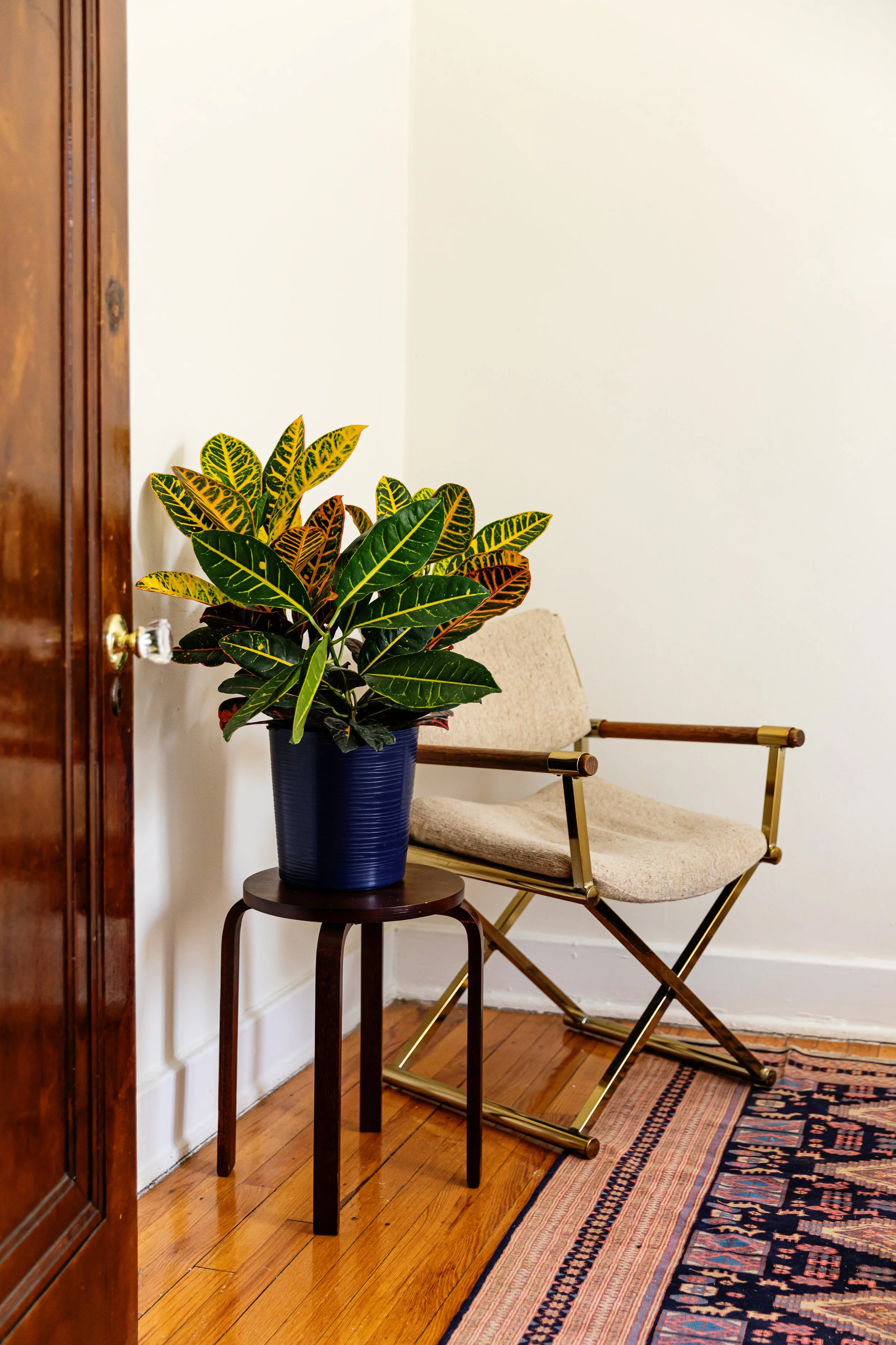 605Hazelwood-140.jpg