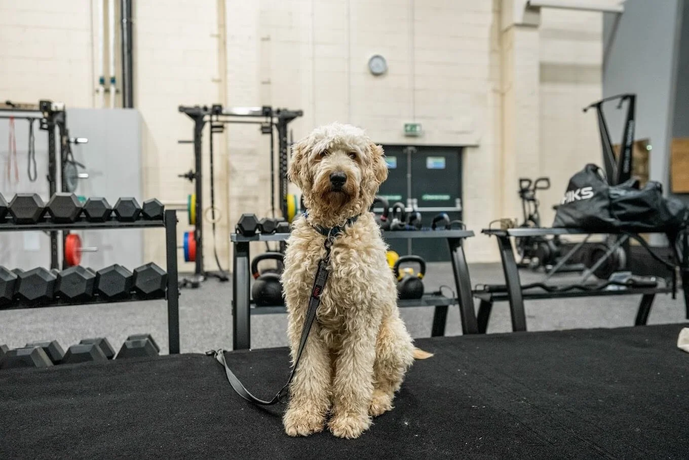 Climbing Hangar Reading 5.jpeg