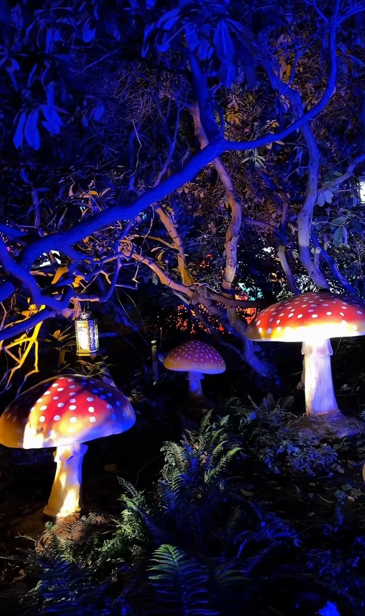 Neverland Kenwood 2.jpeg