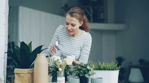 3 Organizing Mistakes Amherst, NY Homeowners Should Avoid