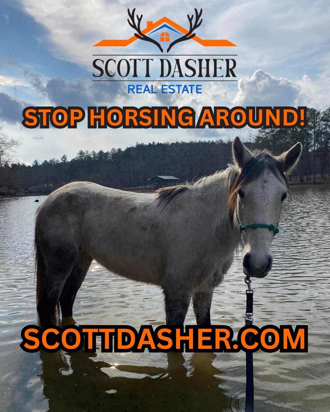 Stop Horsing Around! ScottDasher.com.png