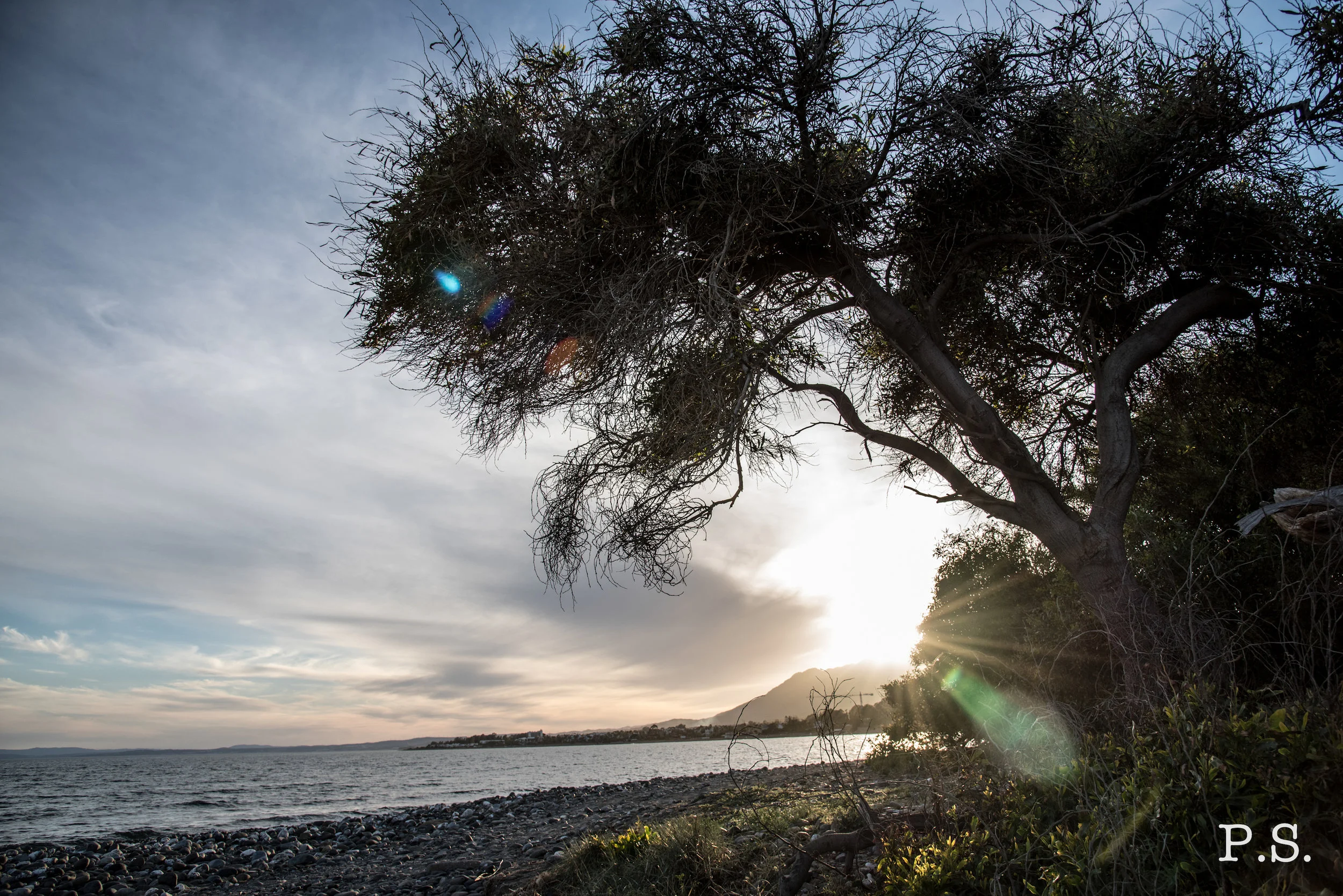 160419Spain_9 copy.jpg