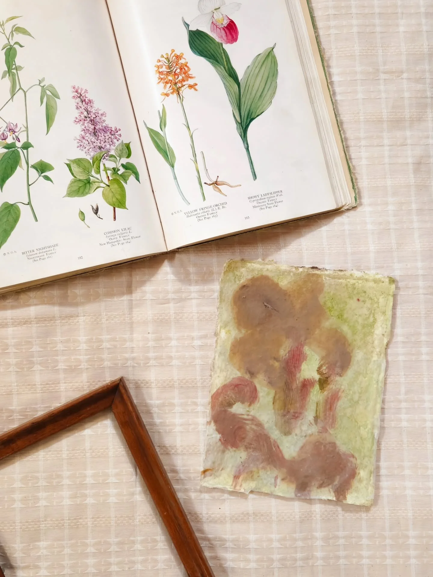 Picked up some inspiration from the library 😍 I was so excited to find this very old book published in 1933! It's full of inspiration. When the flowers aren't blooming outdoors, there are other ways to get inspired. Books have been huge this winter.