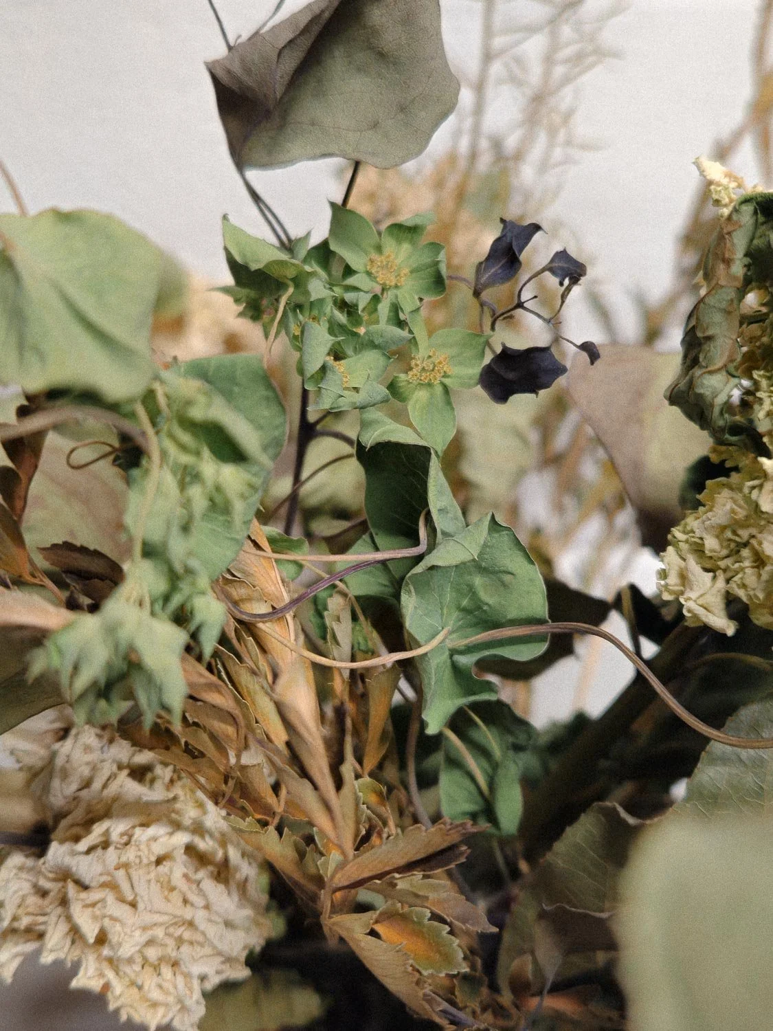 1abstract florals-15.jpg