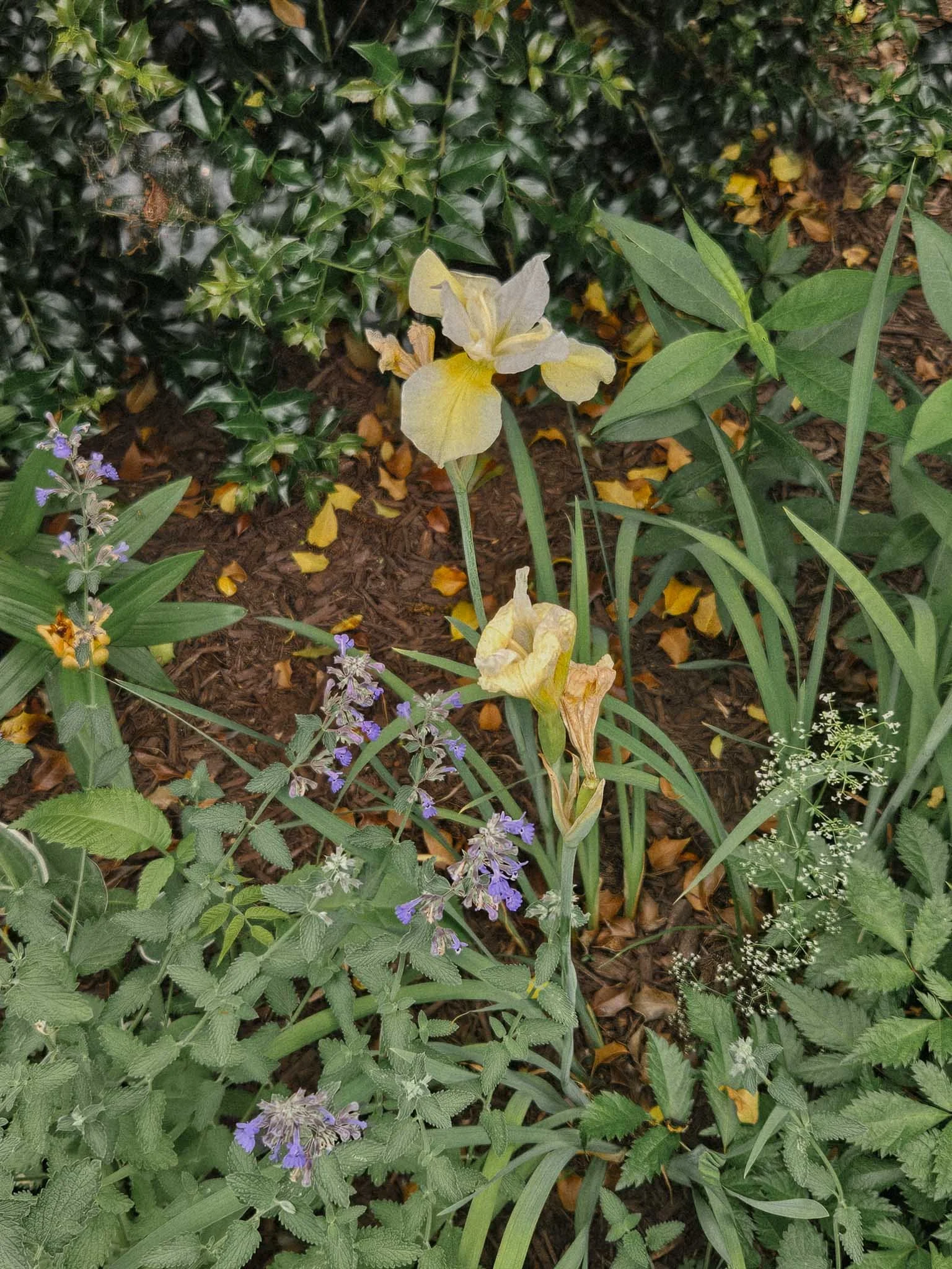 spring-38.jpg