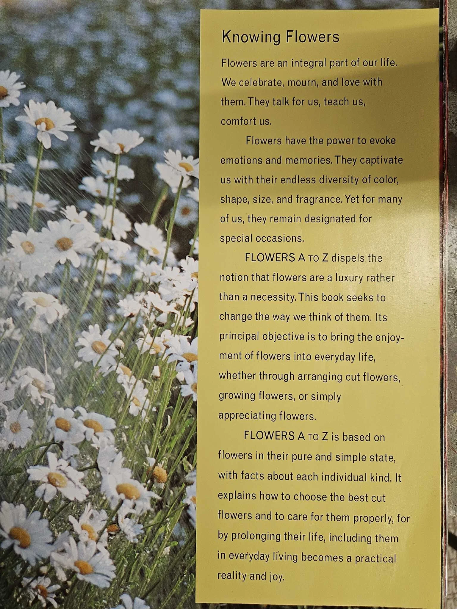 spring-31.jpg