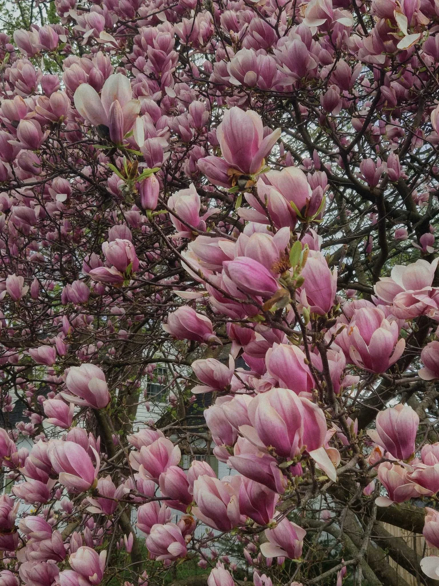 spring-28.jpg