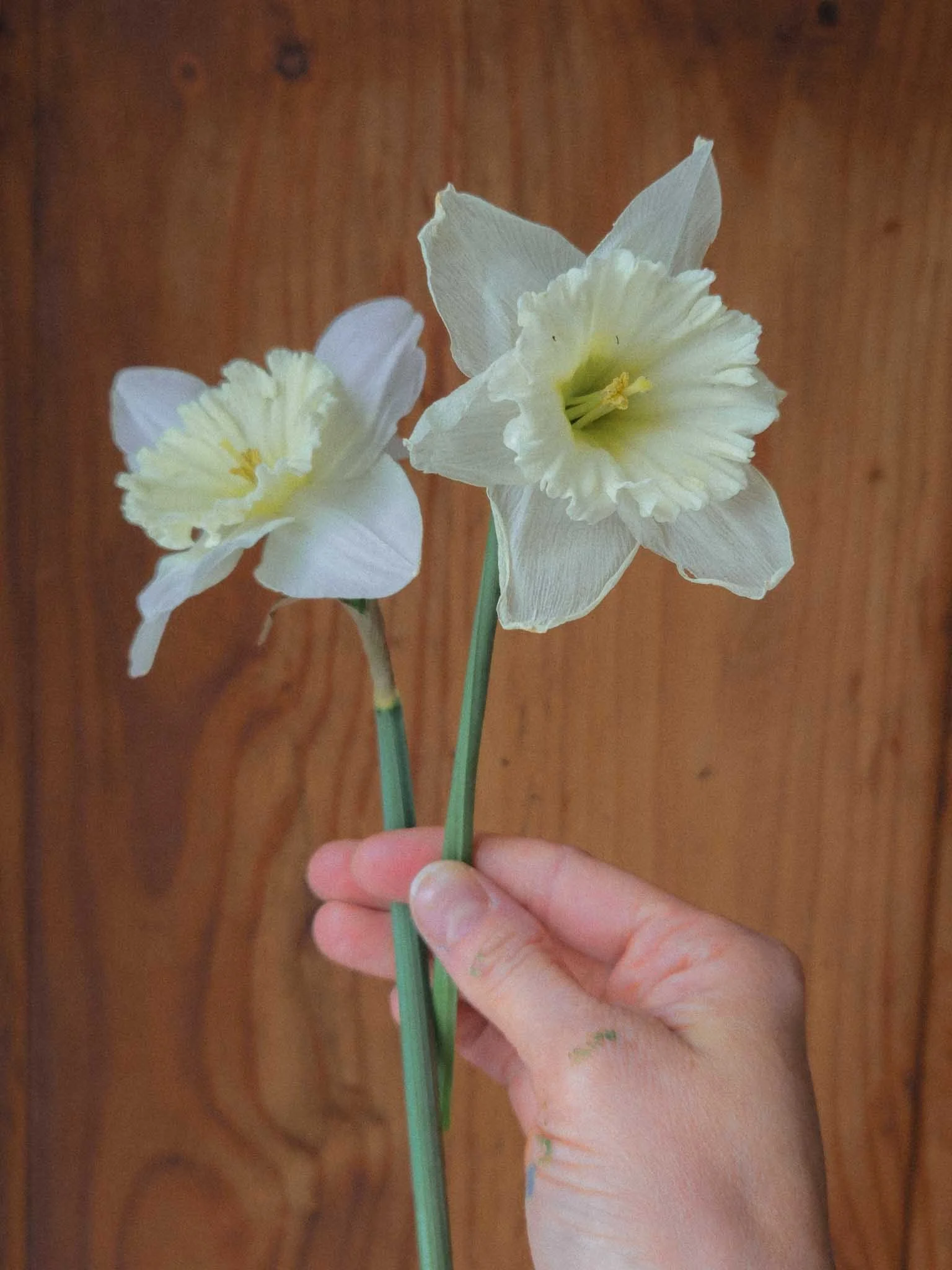 spring-25.jpg