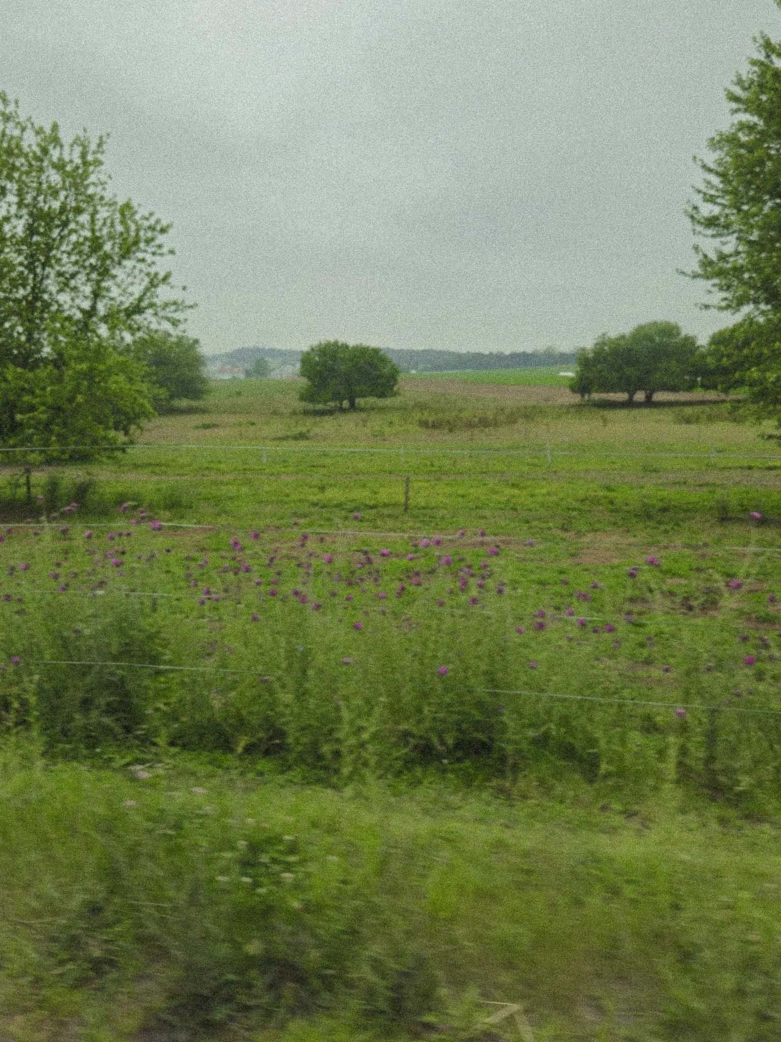 spring-4.jpg