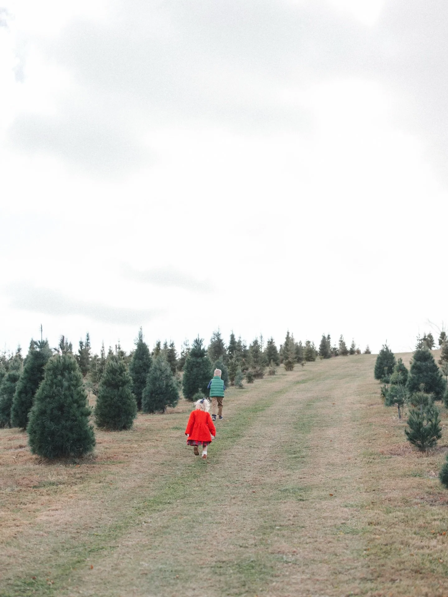 I can&rsquo;t believe Christmas is less than two weeks away! If you are still in the need of a Christmas gift for someone, I still have several beautifully packaged gift certificates available! These can be for mini photo sessions or full photo sessi