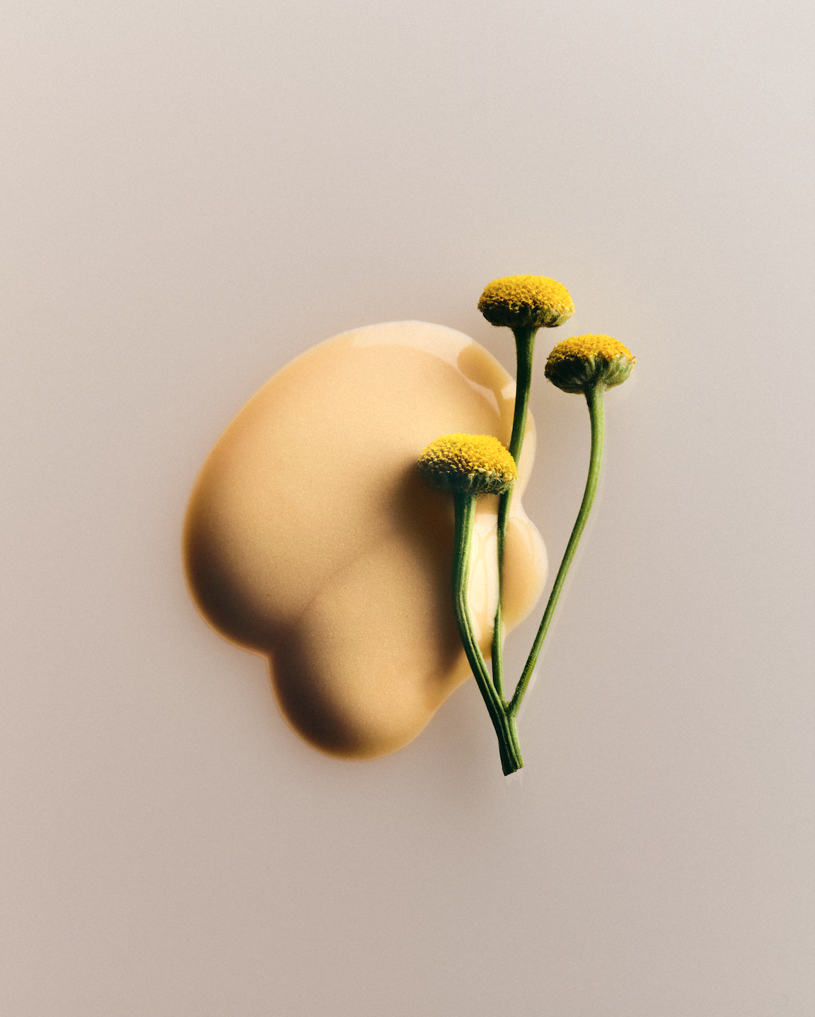 Screenshot 2026-01-12 at 11.19.35 AM.png