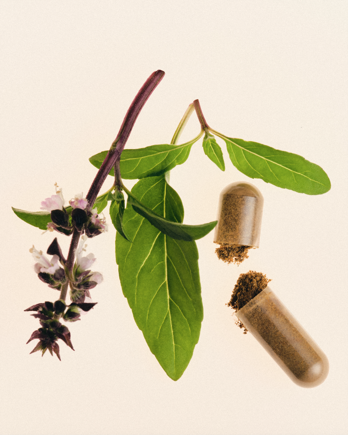 Screenshot 2026-01-12 at 11.19.20 AM.png