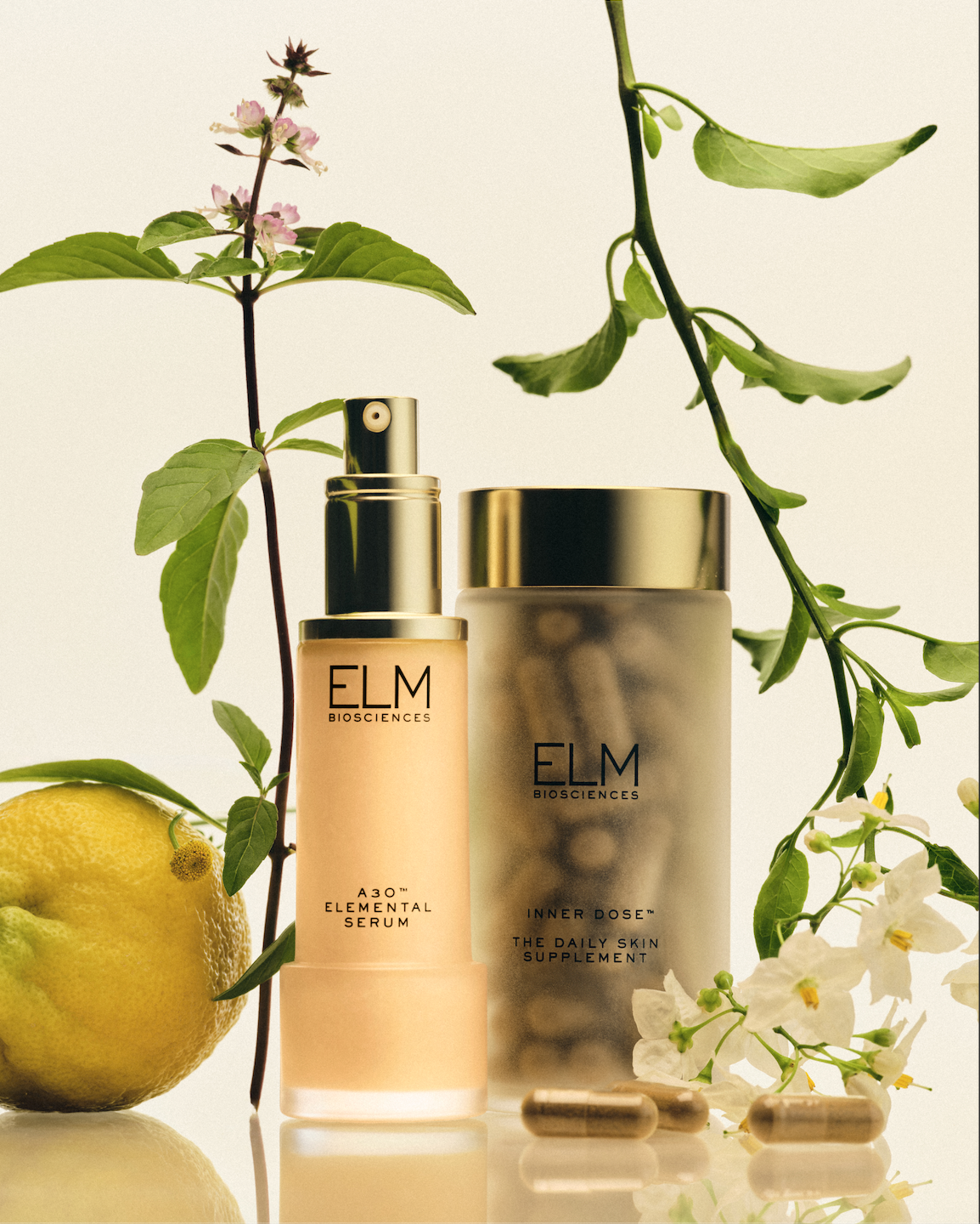 Screenshot 2026-01-12 at 11.18.41 AM.png