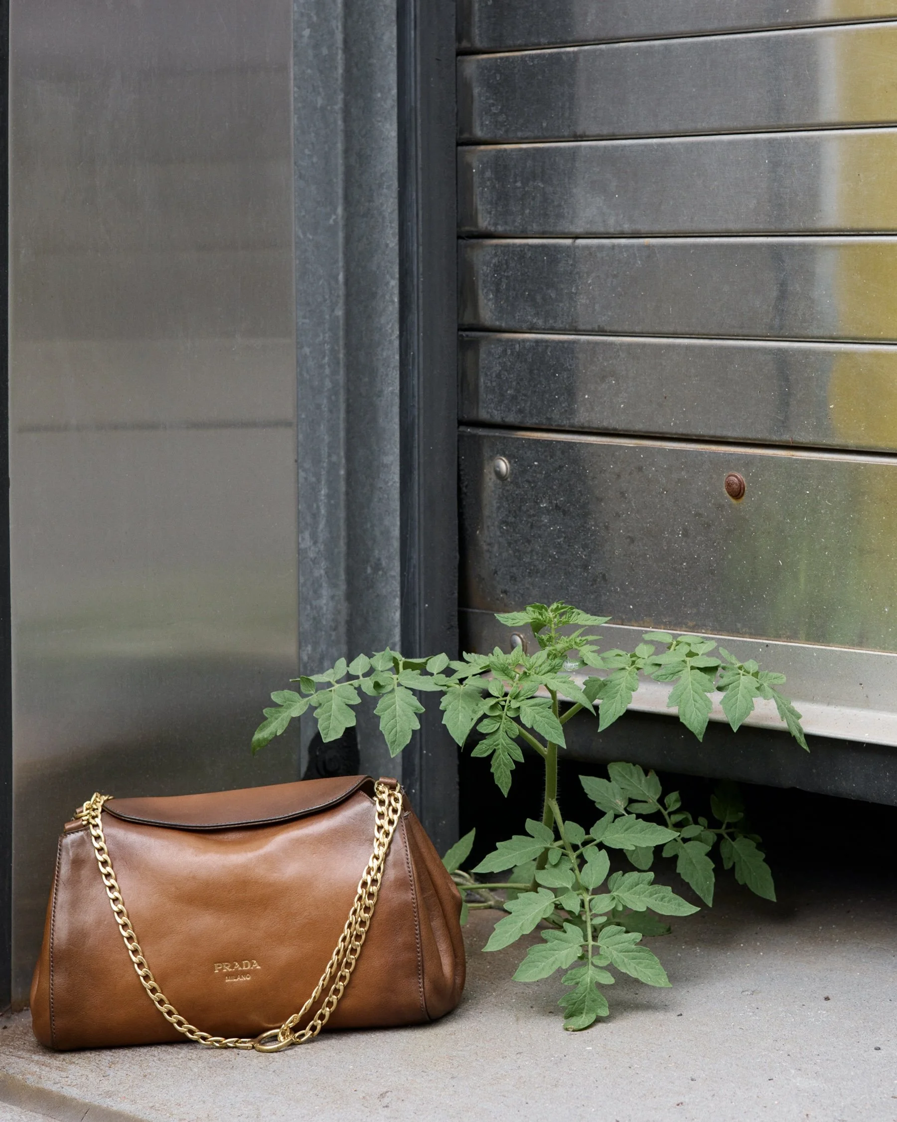 250907_SHOT_06_351_R3 2.jpg