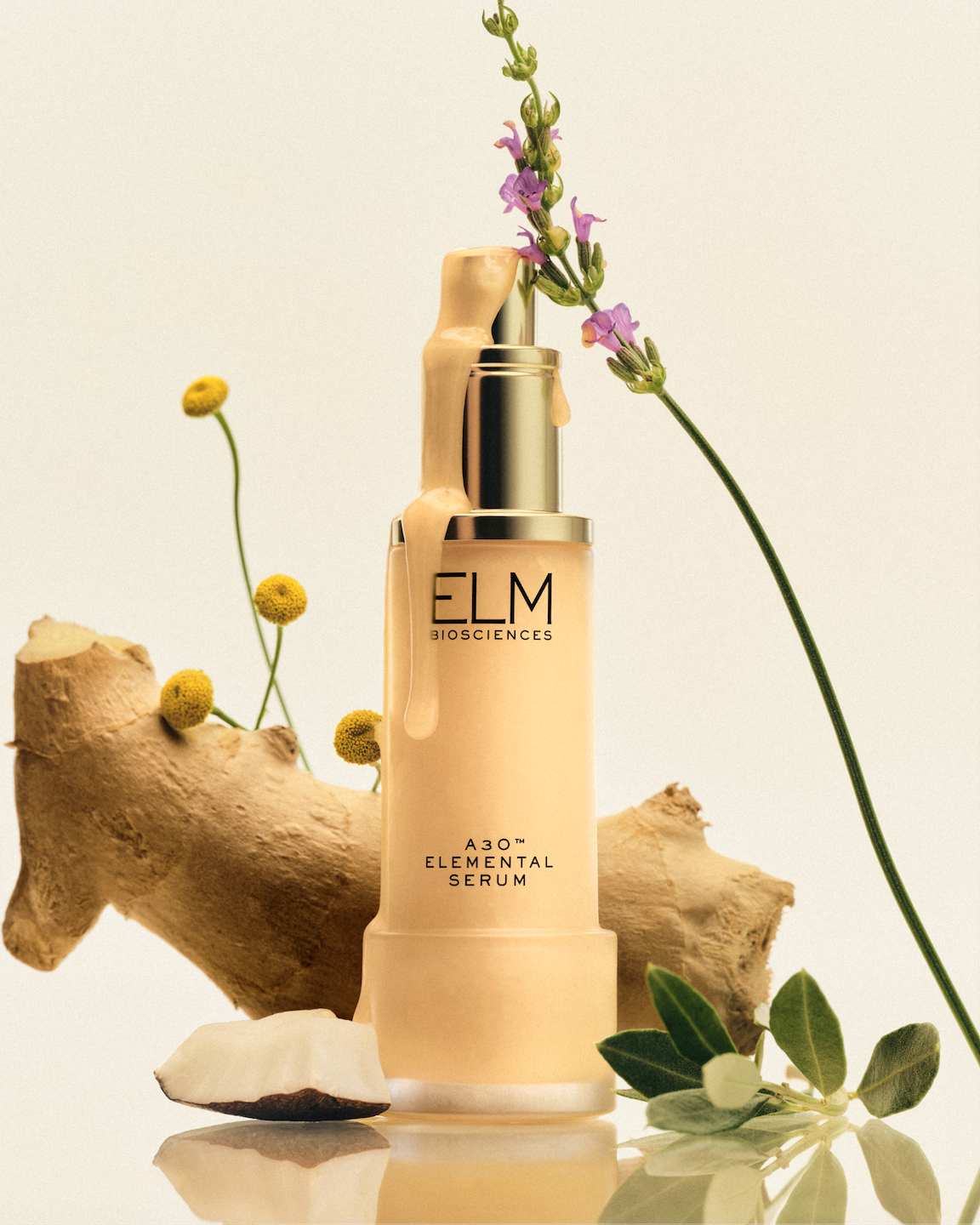 Screenshot 2026-01-12 at 11.19.06 AM.png