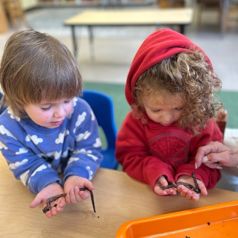 Who loves Earth Worms?!? WE DO IN PRESCHOOL!!🪱🌞☔️ #emergentcurriculum #preschool #LearningThroughPlay #silly #Childcare