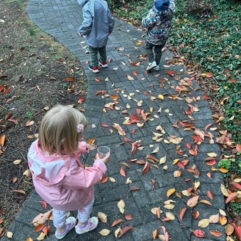 There is always something new happening as we visit each classroom.  Our teachers are so much fun and fantastic at planning engaging activities!! 🍁🧁🌈 #Childcare #inclusion #naturelovers #provocationsforlearning #Science #emergentcurriculum #presch