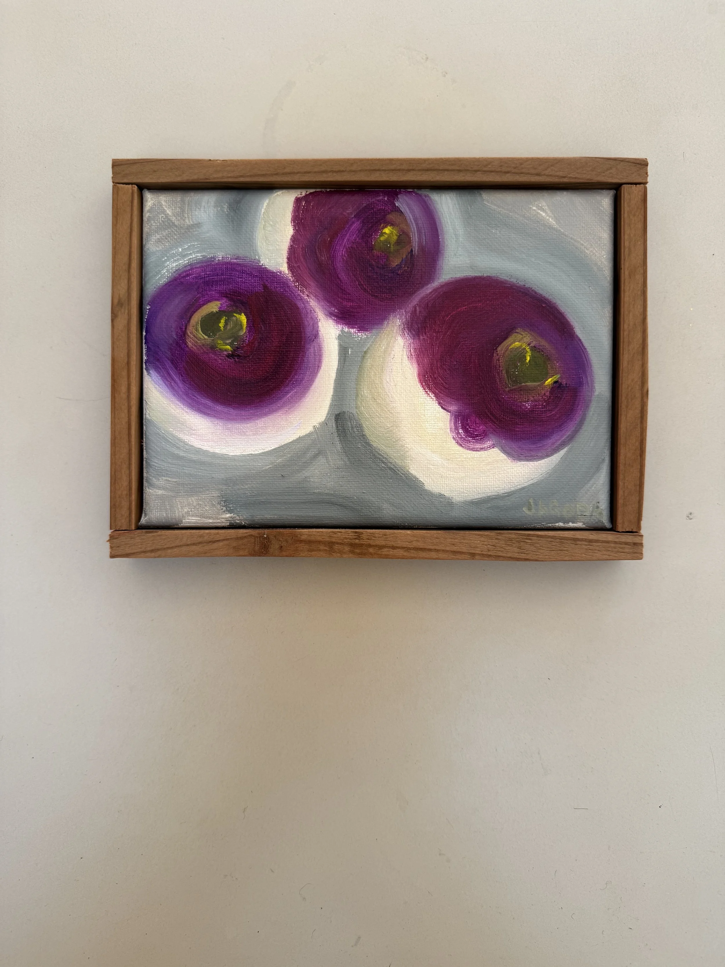 IMG_7232.jpeg