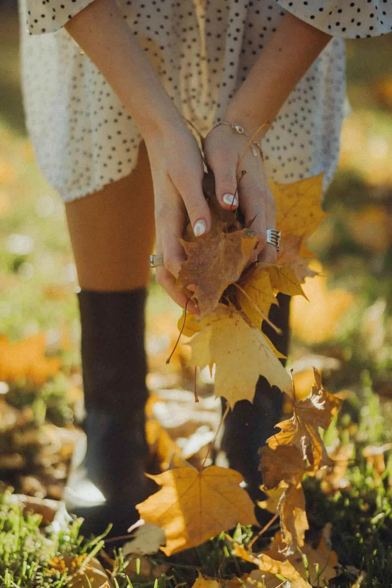 hands picking up fallen leaves
