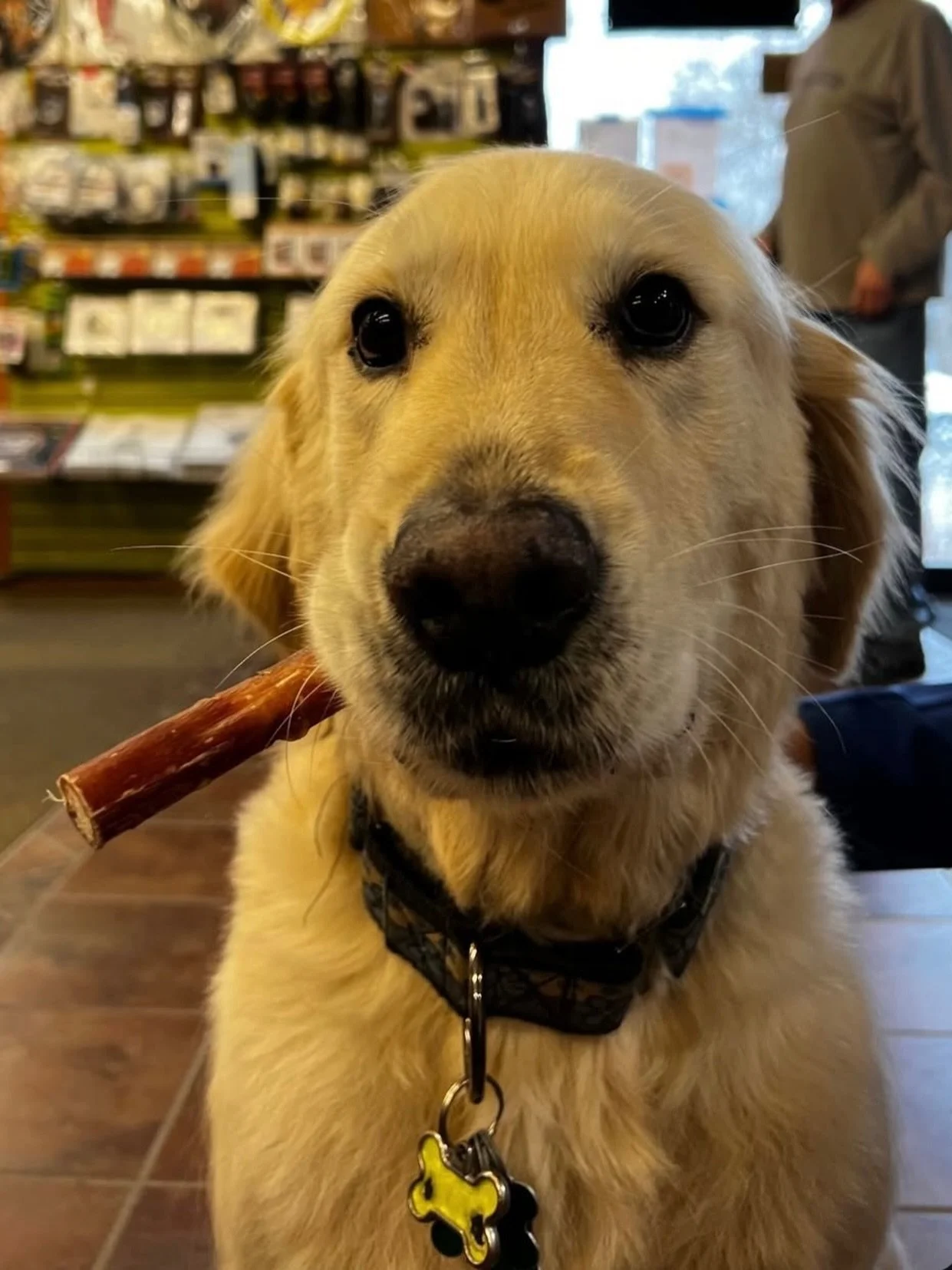 Happy Monday everyone! Our shop dog Leland had to go to the vet this morning so we will be opening a little late today. 
He&rsquo;s ok, but will have to take some time off to get better. 

Open Today: 12:30-6