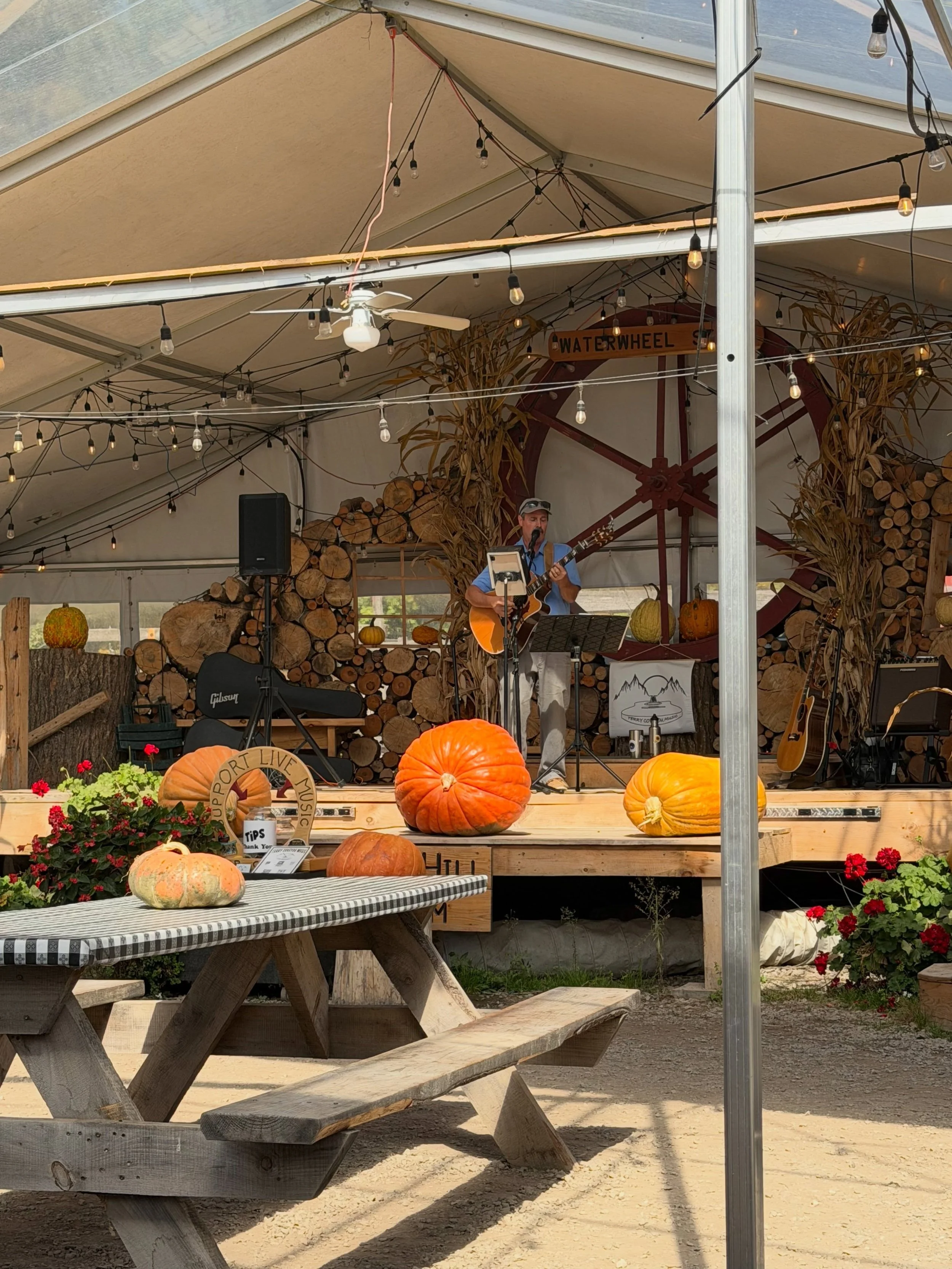 Beautiful weekend for some pizza, pumpkins live music and fall fun!

#harborsprings #pondhillfarm #enjoytheday #fallvibes