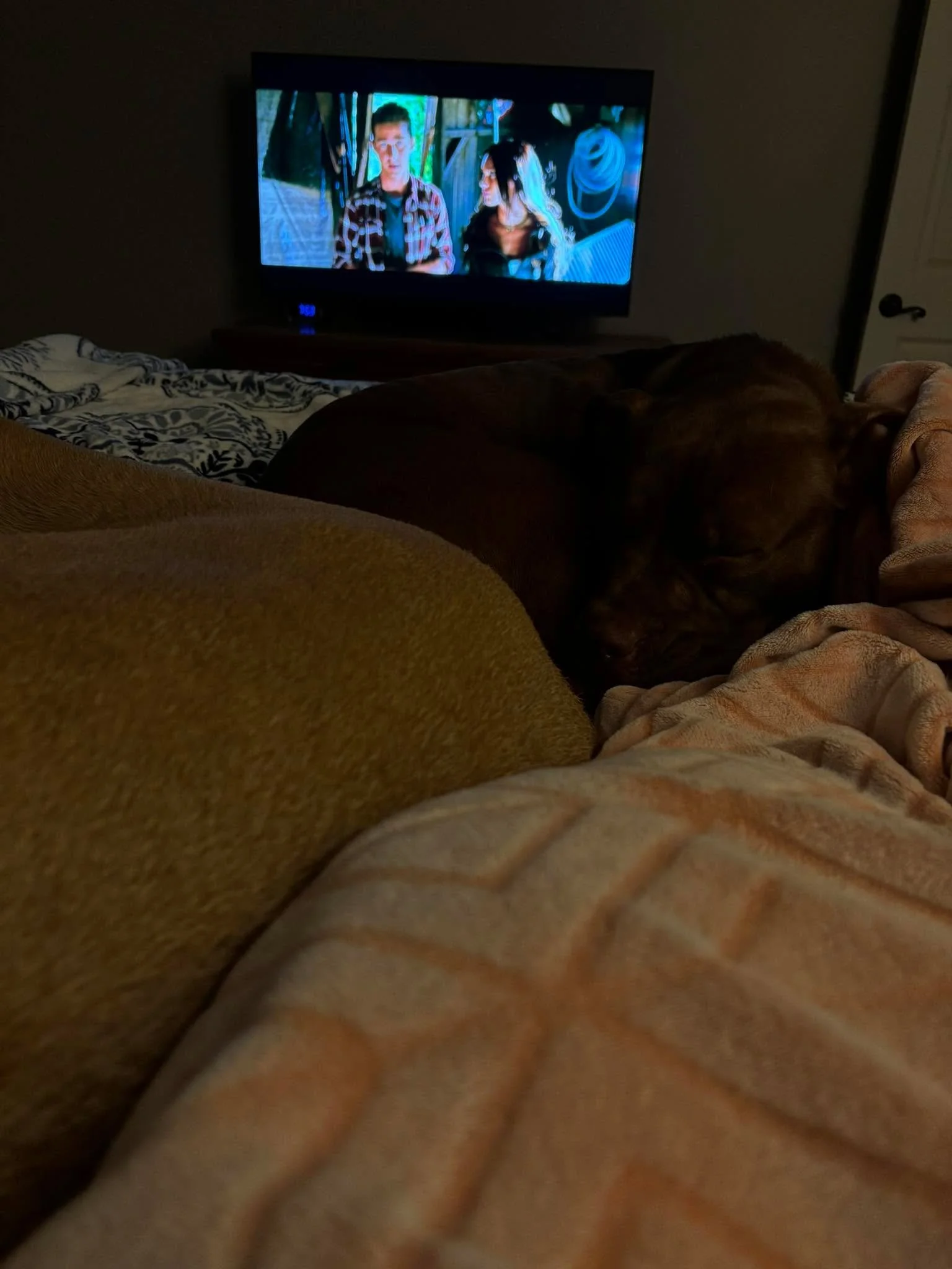 Sleepy boys 😴😴