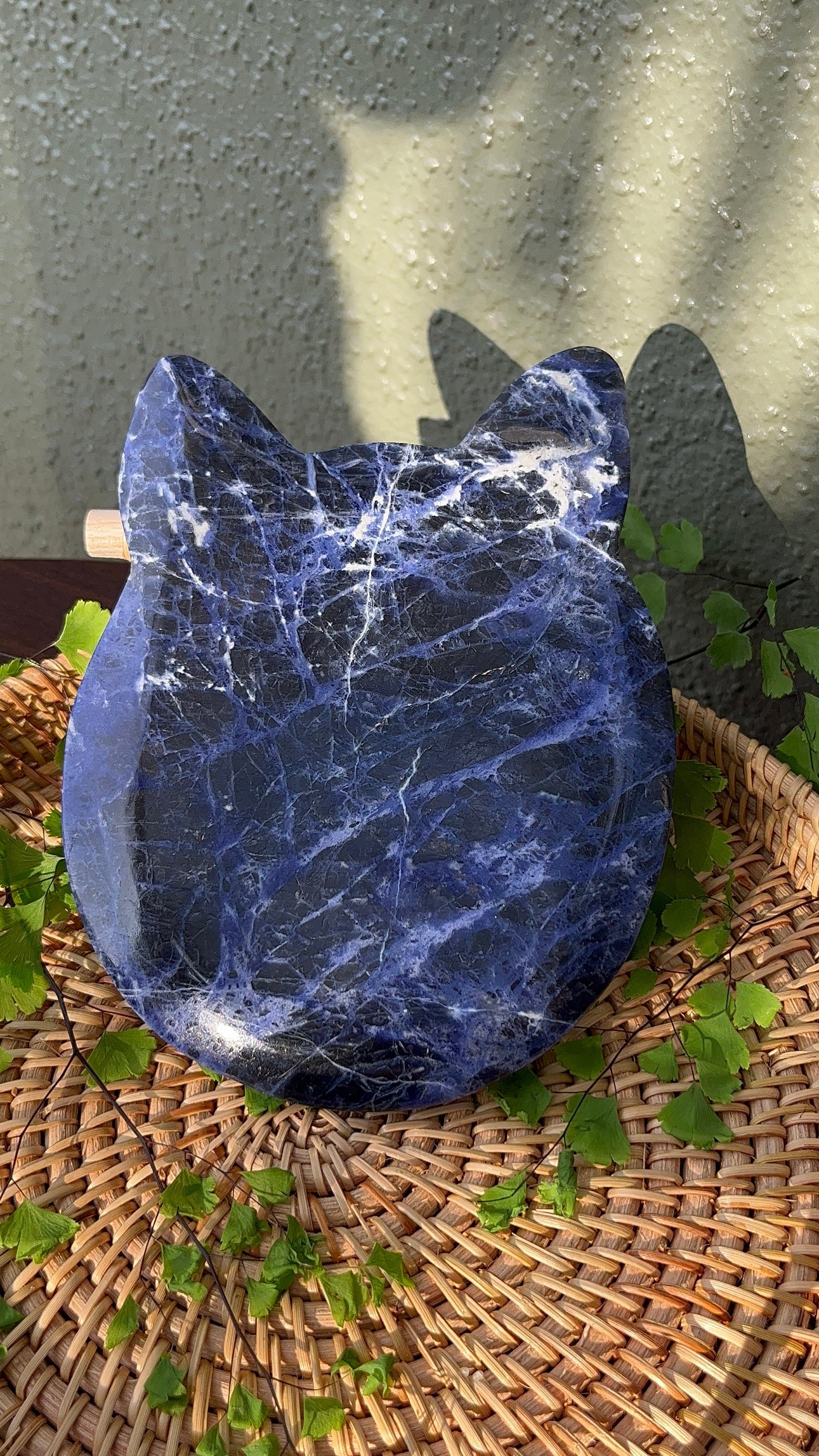https://i.etsystatic.com/33118856/r/il/58f62c/5061725209/il_fullxfull.5061725209_7e8b.jpg