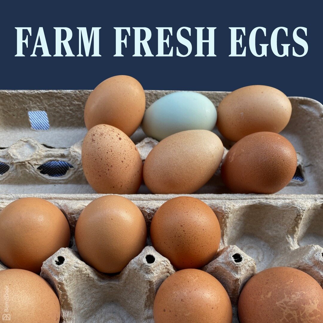 Farm fresh and ready to crack! 🥚🌱 Dive into the goodness of our freshly laid eggs straight from our happy hens. Taste the difference and savor the freshness! 🐔✨ #FarmToTable #FreshEggs #HappyHens #kultibar #kultibarlife #cultivate #newlife #foodfo