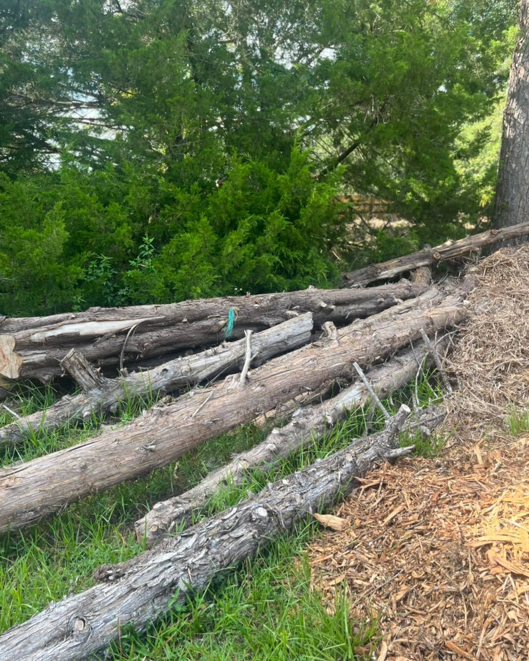 Finding beauty in the simplicity of logs. Nature's own artwork. 🌿🔥 #WoodWonder #NatureArt #RusticCharm #kultibar #kultibarlife #cultivate #newlife #foodforest #permaculture #growlife #growyourownfood
