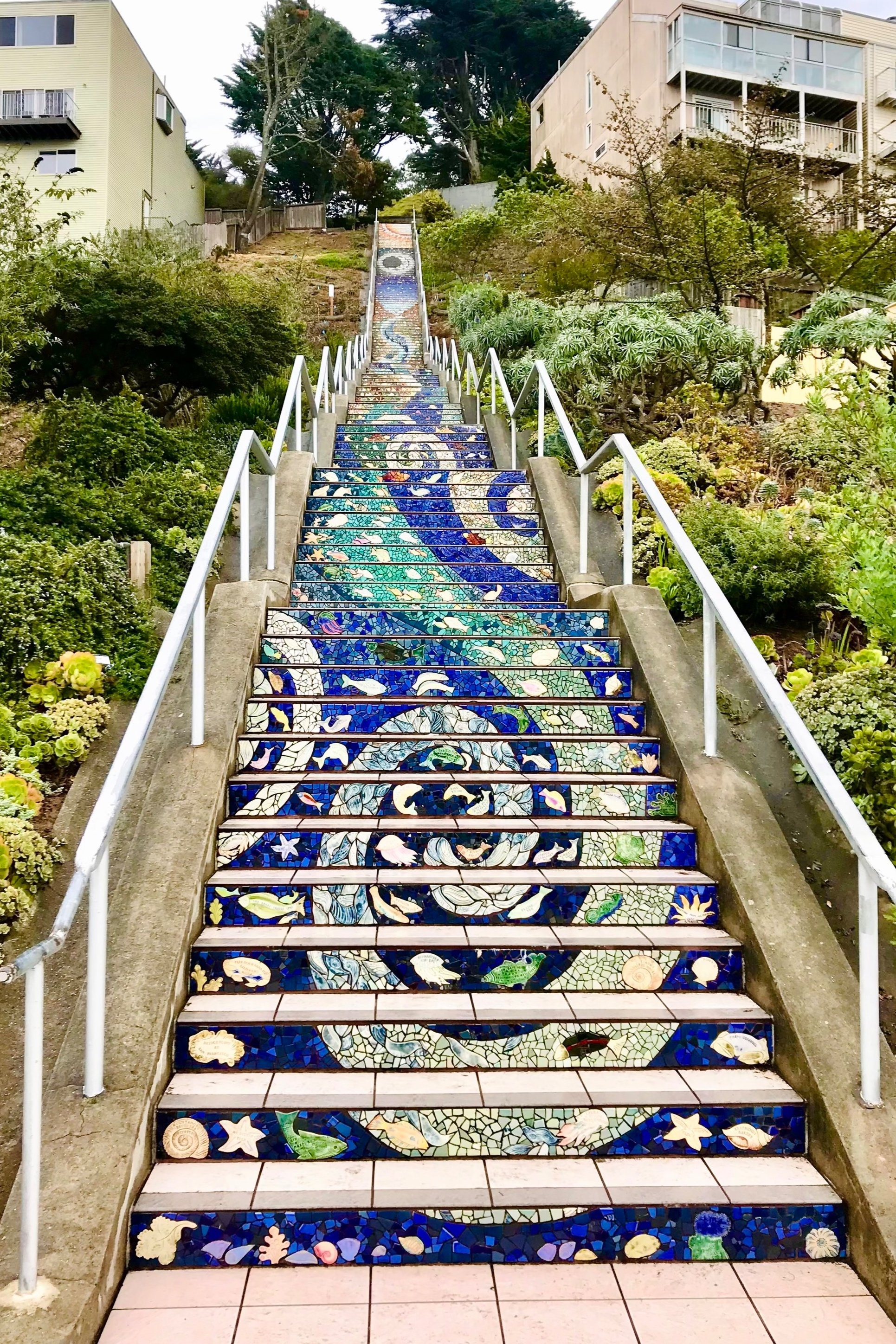 Steps Towards Healing Series