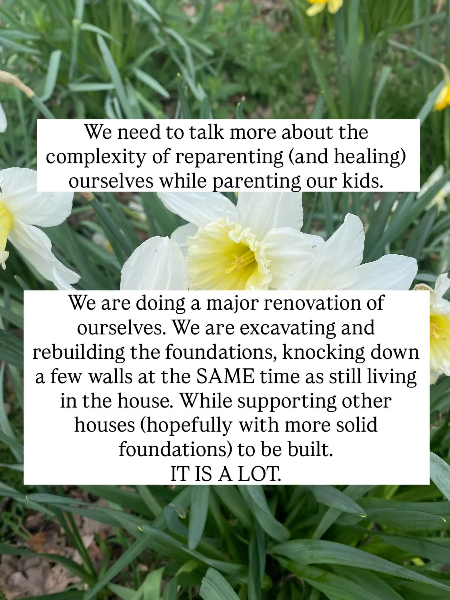 You are doing it people 🤩🤩🤩

Please give yourselves a huge round of applause.

I love this house renovating analogy and I hope it makes sense to you.

Sending love out into the world tonight 
🩷🩷🩷🩷