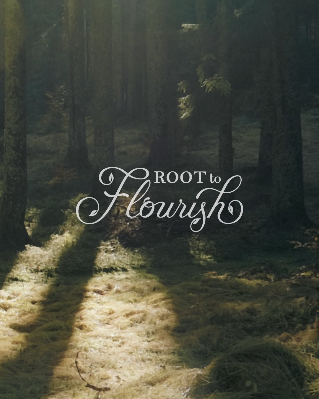 Sunlight filtering through a dense forest of tall trees with a grassy forest floor and the text 'Root to Flourish' in elegant cursive font.