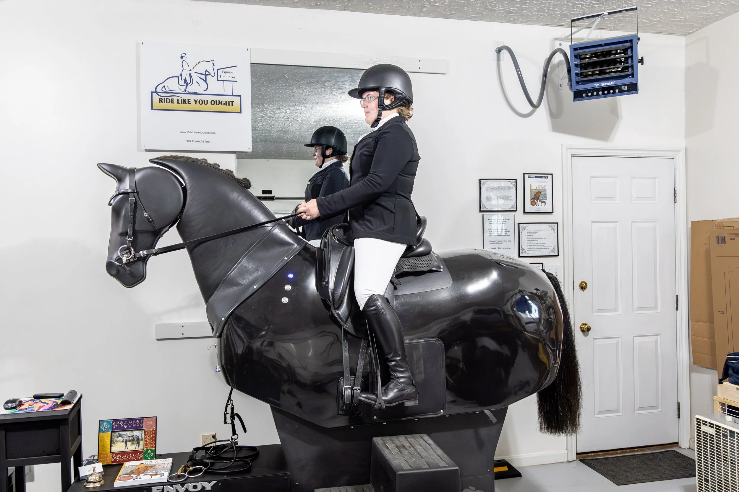 Gessel on dressage.jpg