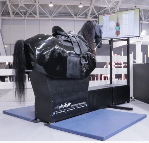 sim rear view.jpg