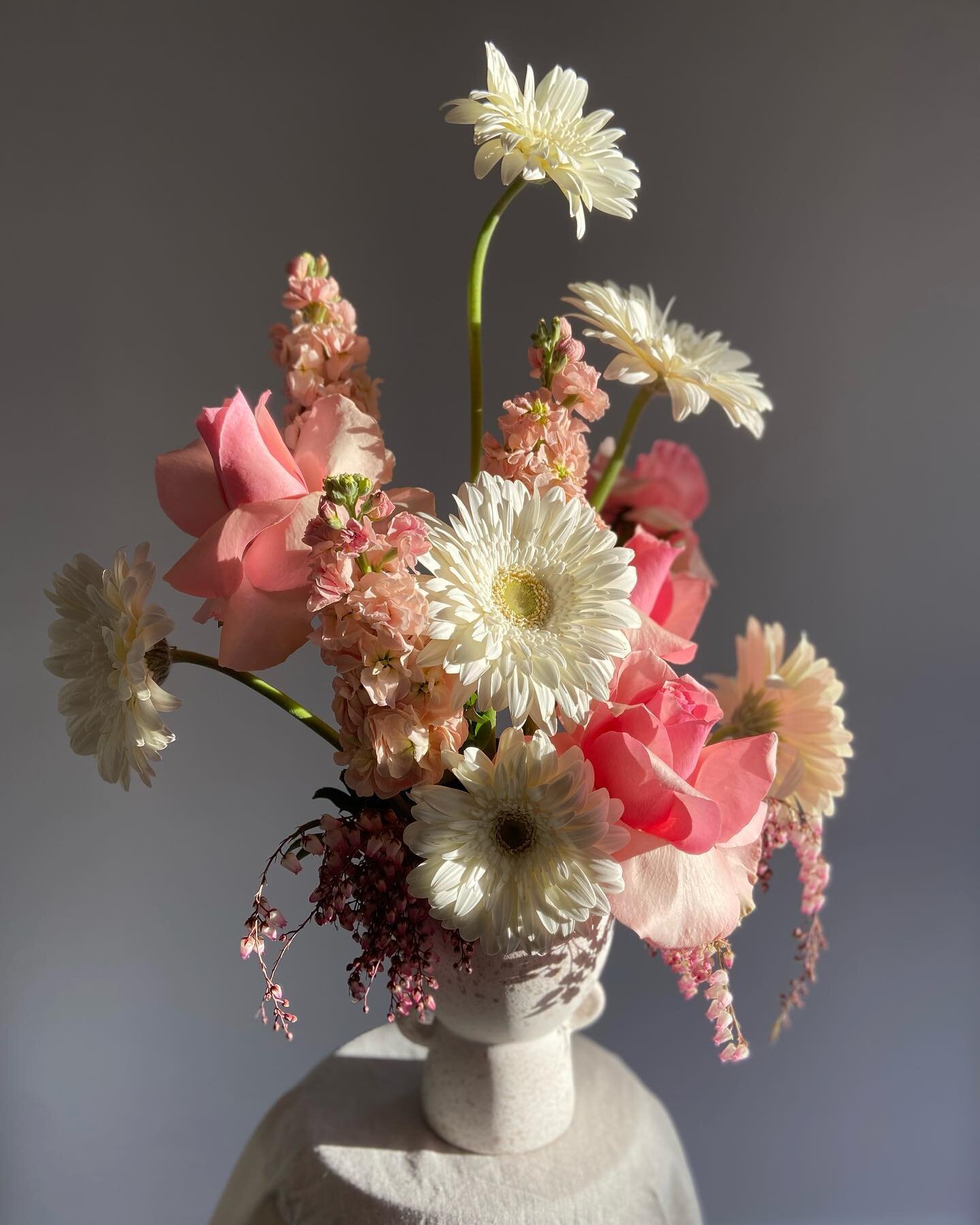 🤍🌸 Fairy floss arrangement 🌸🤍

Website coming soon&hellip; 

Flowers used
#gerbera
#roses
#stock
#andromeda
#anthurium