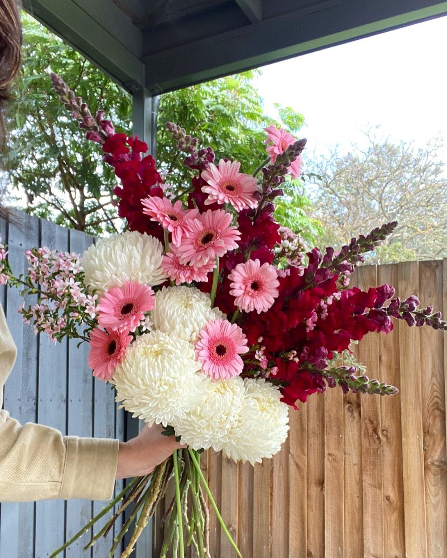 Happy Monday 🌸 

Flowers:
Red Snapdragons
Pink Mini Gerbs
Chrysanthemum
Wax Flower

#florist #frankstonflorist #frankston #gerbera #snapdragon #flowers #waxflower #chrysanthemum #floristry #melbourne #monday #posie